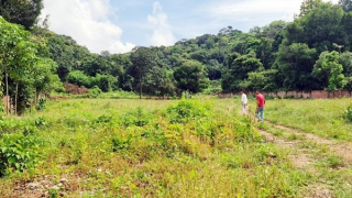 Đất người dân vướng quy hoạch do Chi nhánh Văn phòng Đăng ký đất đai “ngâm” hồ sơ (?)