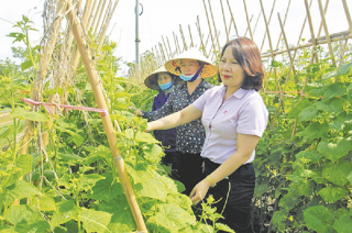 Khi vốn ưu đãi là “chìa khóa” mở cửa thoát nghèo