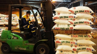 PVFCCo vào Top 100 doanh nghiệp lợi nhuận tốt nhất Việt Nam năm 2022 đầy ngoạn mục