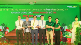 Phân bón Phú Mỹ ra mắt dòng sản phẩm chuyên dùng cho  nông nghiệp đô thị