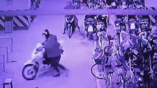 Làm rõ nhóm học sinh mặc đồng phục, vào hầm chung cư trộm xe máy