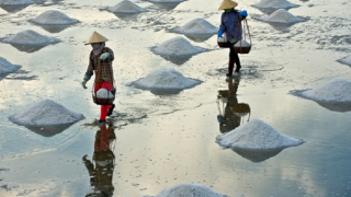 Từ Tắc Cậu tới Thiềng Liềng