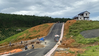 Thanh tra phát hiện sai phạm hơn 8.300ha đất ở Tây Nguyên