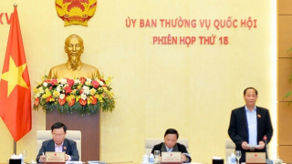 Giám sát, ngăn chặn tiền chất ma túy, chất ma túy trong thực phẩm