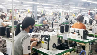 Giúp đỡ doanh nghiệp là giúp chính mình