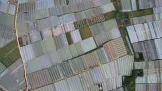 Chi 178 tỷ đồng đưa nhà kính ra khỏi nội ô Đà Lạt