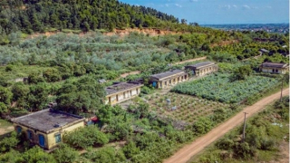 Mua bán, xây dựng công trình trái phép ở Sóc Sơn (Hà Nội): Sẽ khởi tố nếu đủ căn cứ