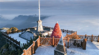 Băng giá mờ ảo xuất hiện trên đỉnh Fansipan