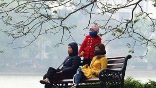 Miền Bắc đêm rét cóng, ngày hửng nắng
