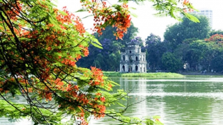 Mùi phố... rồi mưa xuân