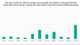 Hai tháng cuối năm, Vinfast thanh toán gốc và lãi 10.000 tỷ đồng trái phiếu tư vấn qua TCBS