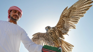 Khi “đại gia” ở Qatar mất đi ý niệm về... tiền