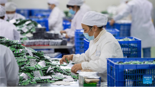 Đô thị Trung Quốc thích ứng thần tốc với lộ trình chống COVID-19 mới