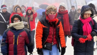 Miền Bắc chìm trong giá rét, vùng núi phủ băng giá