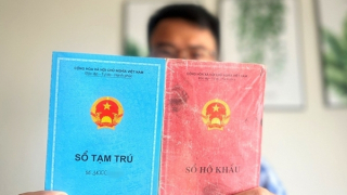 Hướng dẫn sử dụng thông tin công dân thay xuất trình sổ hộ khẩu, sổ tạm trú