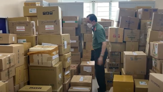 Họa thật từ thuốc giả