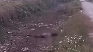 Vụ tử thi trên cánh đồng: Bắt nghi phạm là người cùng thôn với nạn nhân