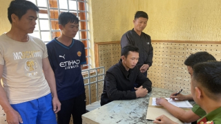 Mua hạt giống cần sa rồi thuê người trồng