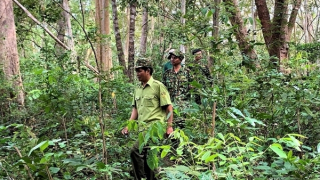 Giữ “lá phổi xanh” trên vùng biên giới