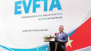 Doanh nghiệp Việt Nam đã tận dụng tương đối hiệu quả các cơ hội từ EVFTA
