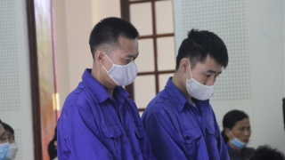 Mất tiền tỷ vì tin “cò” chạy việc