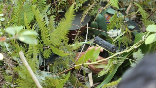 Cảnh sát đặc nhiệm chống khủng bố “tàng hình”, vây bắt đối tượng