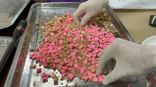 Qua soi chiếu hàng hóa, phát hiện nhiều lô hàng chứa ma túy