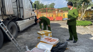 Tạm giữ container chở hàng trăm thùng xốp chứa thịt động vật không rõ nguồn gốc