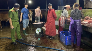 Đình chỉ hoạt động 4 cơ sở giết mổ tại Quảng Nam