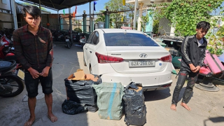 Tài xế ô tô thay biển số giả chở gần tạ pháo lậu