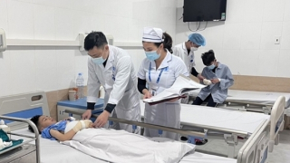 5 trẻ em nhập viện vì pháo nổ ở Hải Phòng