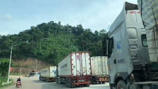 Duy trì hoạt động thông quan Việt Nam – Quảng Tây trong dịp Tết