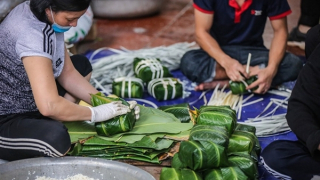 Rộn ràng làng bánh chưng Tranh Khúc
