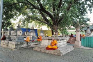 Động tâm ở Bồ Đề Đạo Tràng