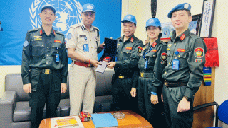 Có những người ươm mầm xanh hòa bình