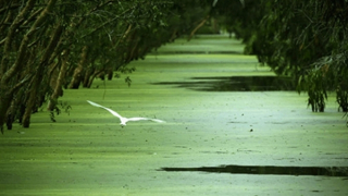 Hệ giá trị được phái sinh từ tư duy của nhà đầu tư