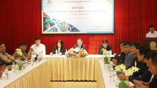 Khách mua sâm được kiểm định chất lượng, nguồn gốc ngay tại phiên chợ sâm