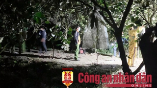 Nghi phạm liên quan vụ thi thể phân hủy trong vườn chanh đã sa lưới