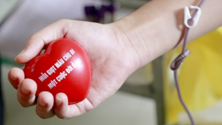 Đẩy mạnh các hoạt động hiến máu tình nguyện vì sức khỏe cộng đồng