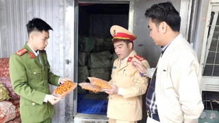 Ngăn chặn "thực phẩm bẩn" dịp Tết