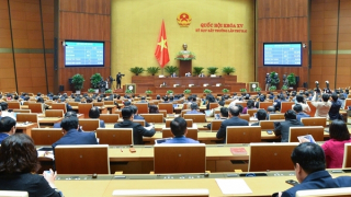 Quốc hội cho phép tiếp tục sử dụng giấy đăng ký lưu hành thuốc, nguyên liệu làm thuốc