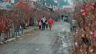 Dự báo Tết Nguyên đán Quý Mão nhiều địa phương mưa rét