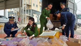 Công an TP Thanh Hóa xây dựng thế trận an ninh vững chắc