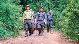 Phối hợp tốt để bảo vệ hiệu quả rừng vùng giáp ranh