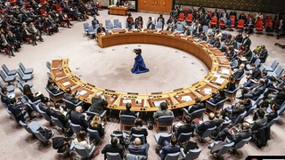 Thượng tôn pháp luật trong duy trì hòa bình và an ninh quốc tế