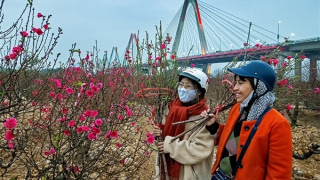 Miền Bắc rét đậm diện rộng, Hà Nội 11 độ C