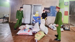 Cẩn trọng thực phẩm “bẩn” dịp cuối năm