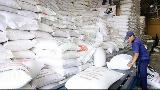 Xuất cấp gạo hỗ trợ Bắc Kạn, Kon Tum dịp Tết Nguyên đán Quý Mão và giáp hạt năm 2023