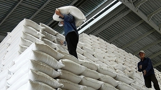 Xuất cấp gần 5 nghìn tấn gạo hỗ trợ nhân dân 5 tỉnh dịp Tết Nguyên đán