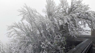 Băng giá xuất hiện tại đỉnh Mẫu Sơn